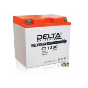 Delta CT 1230 (12V / 30Ah), Аккумуляторная батарея