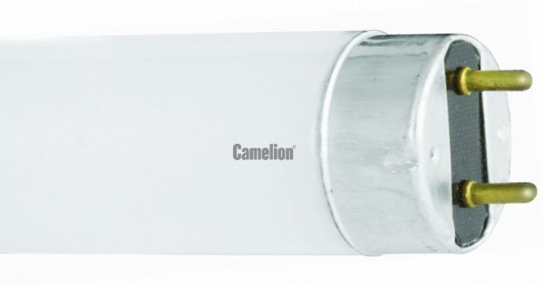 Лампа люминесцентная 350мм 10Вт d26 G13 холод-белый Camelion