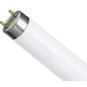 Лампа люминесцентная 600мм 18Вт d26 G13 днев. св. (цветоперед. >=80%) LEDVANCE OSRAM (г. Смоленск)